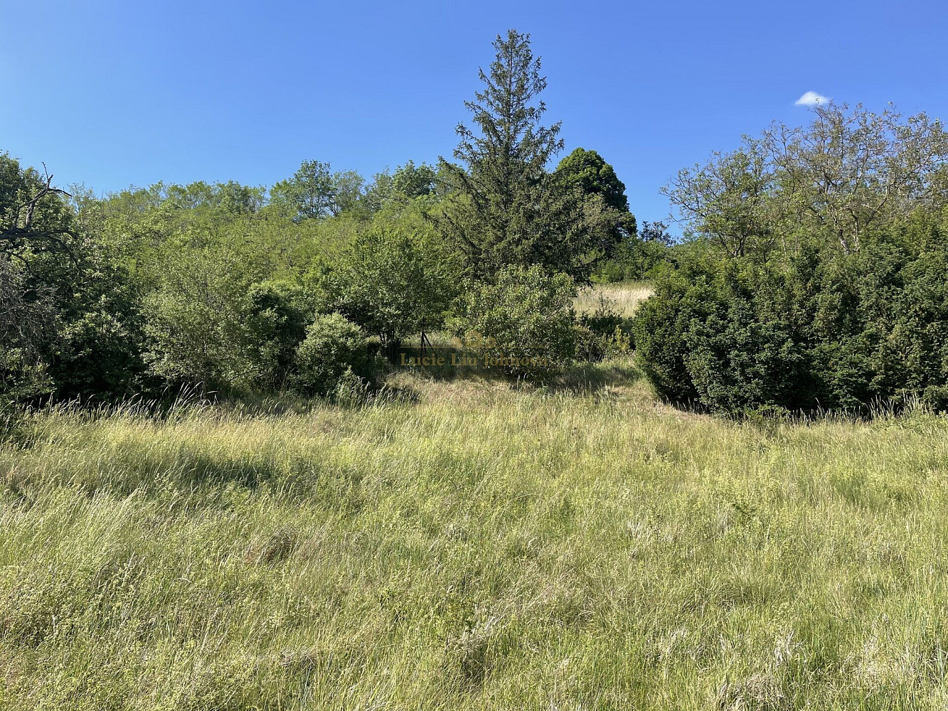 Prodej zahrady 2 559 m² — photo 4
