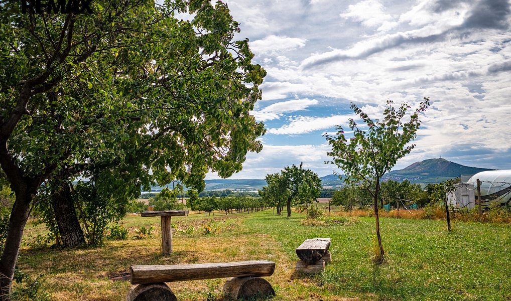 Prodej domu 200 m² s pozemkem 1 812 m², Šakvice – náhled fotky 39