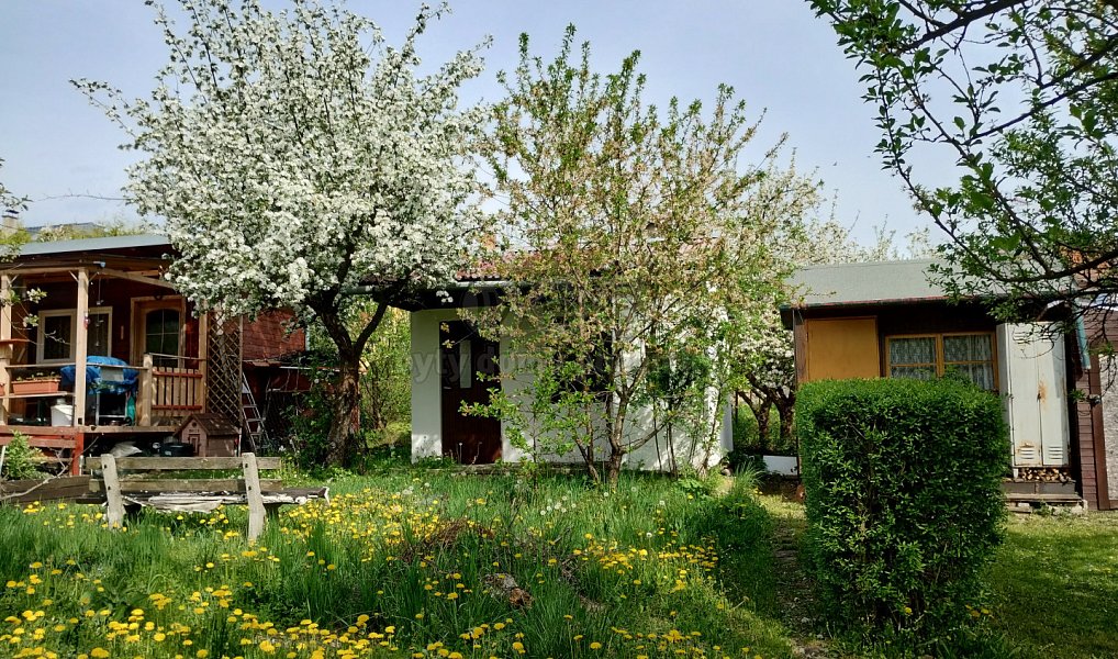 Prodej zahrady 356 m², Šenov u Nového Jičína – náhled fotky 4