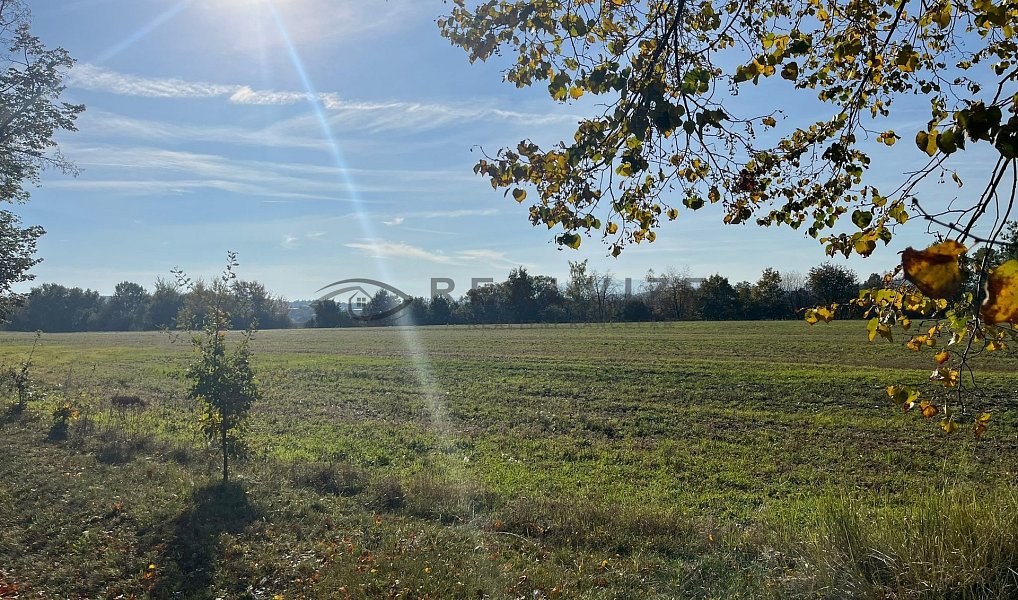 Prodej stavebního pozemku 3 531 m², České Budějovice – náhled fotky 5