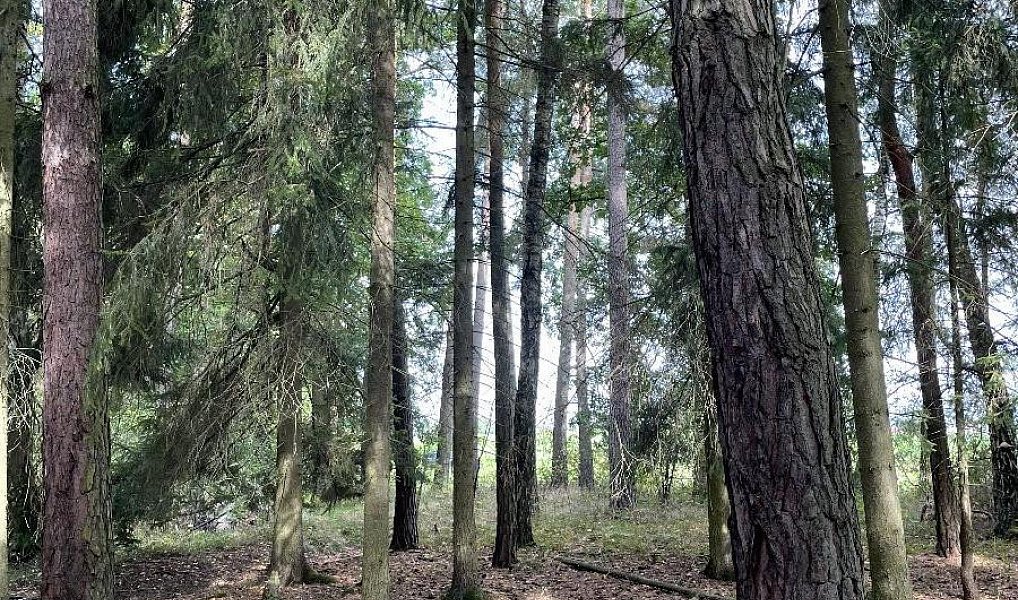 Prodej pozemku 3 510 m², Drahov – náhled fotky 2