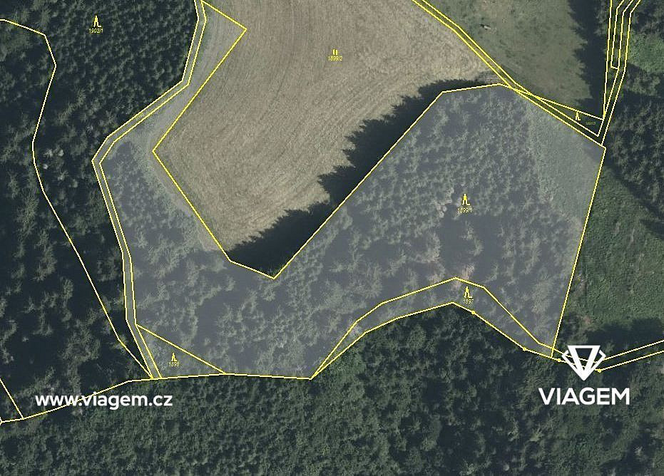 Prodej lesa 2 355 m²