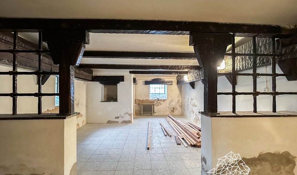Prodej domu 900 m² s pozemkem 2 018 m², Krnov – náhled fotky 25
