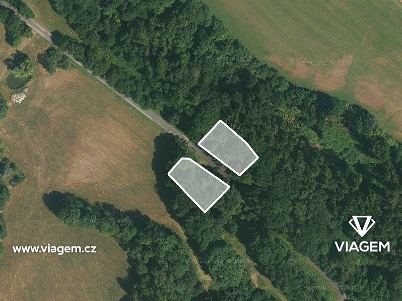 Les 1 808 m², Podíl 29 % o výměře 517 m² – pohled 2