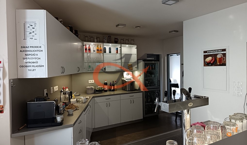 Prodej domu 343 m² s pozemkem 1 082 m², Bohuňovice – náhled fotky 40