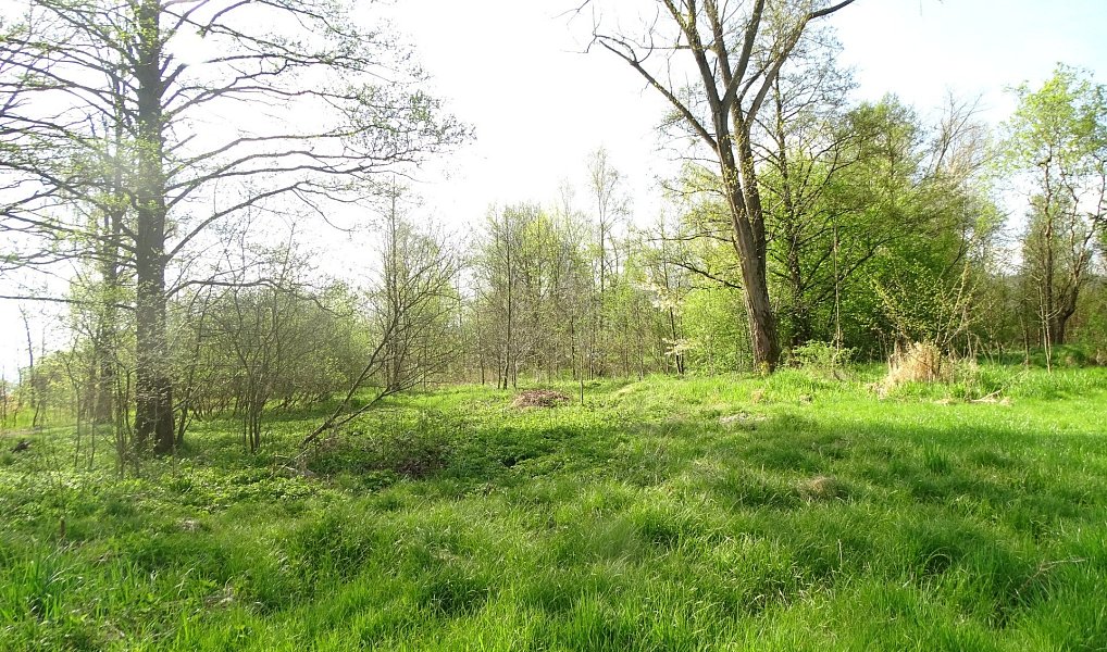 Prodej pozemku 711 m², Varnsdorf – náhled fotky 3
