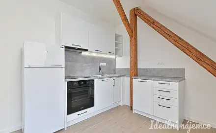 Pronájem bytu 1+1 45 m²