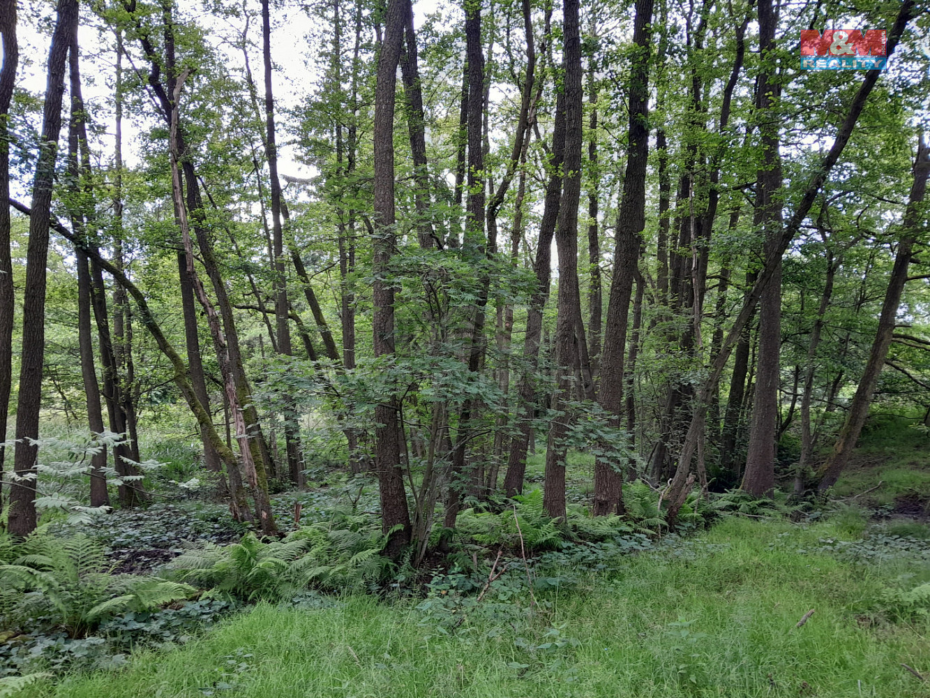 Prodej louky 19 732 m² — photo 5
