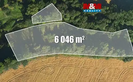 Prodej louky 6 046 m², Bílá - Hradčany, okres Liberec