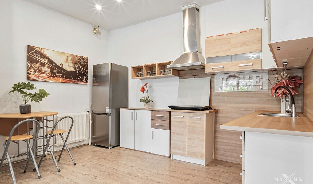 Pronájem bytu 1+kk 50 m², Strančice – náhled fotky 2