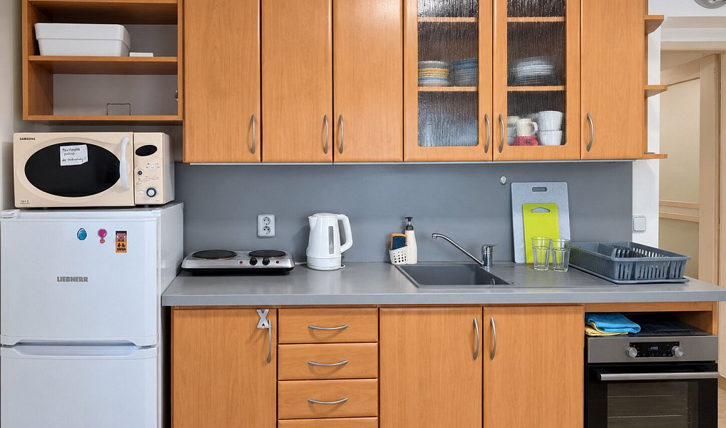 Pronájem bytu 2+1 62 m², Těchařovice – náhled fotky 2