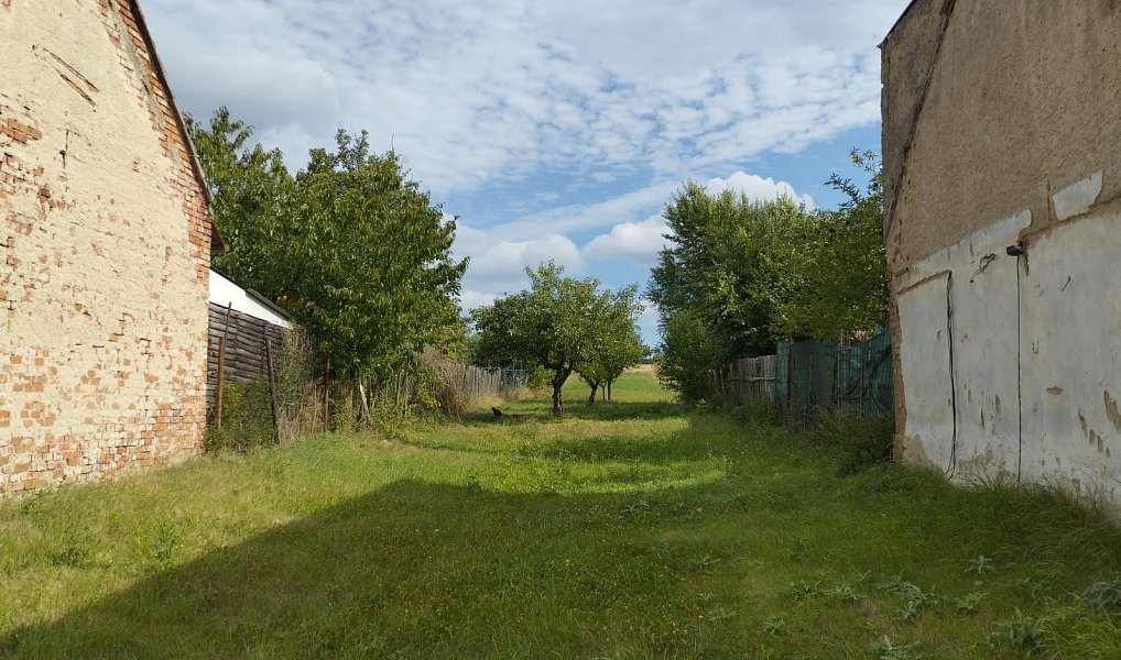Ostatní