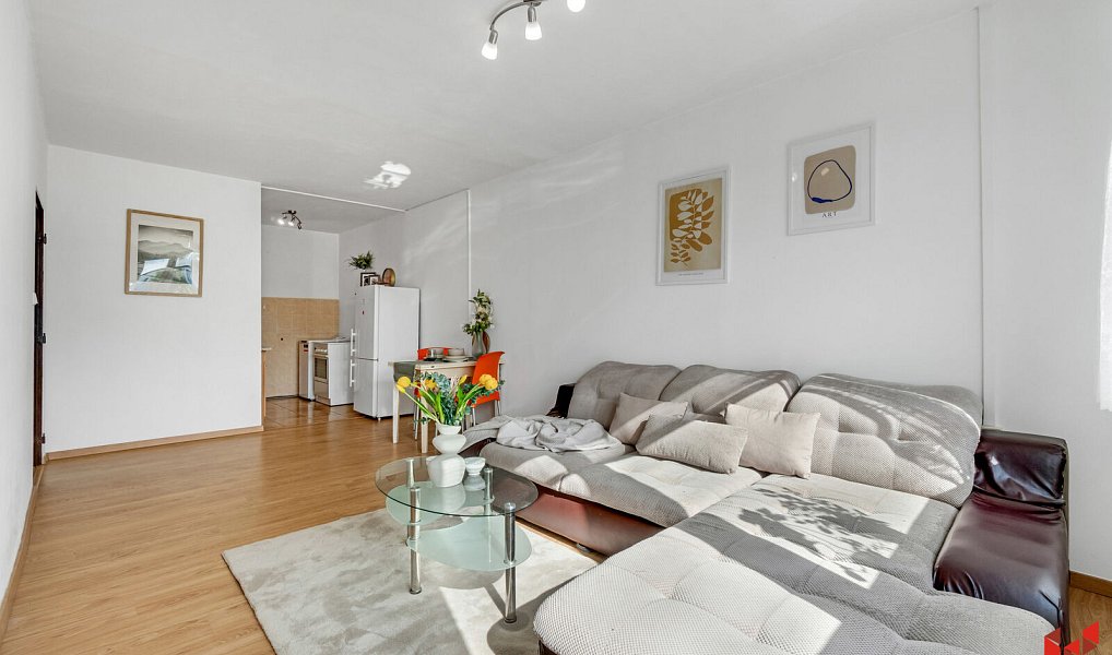 Prodej bytu 2+kk 48 m², Praha – náhled fotky 4