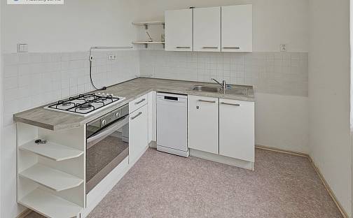 Pronájem bytu 3+1 73 m², Francouzská třída, Plzeň - Východní Předměstí