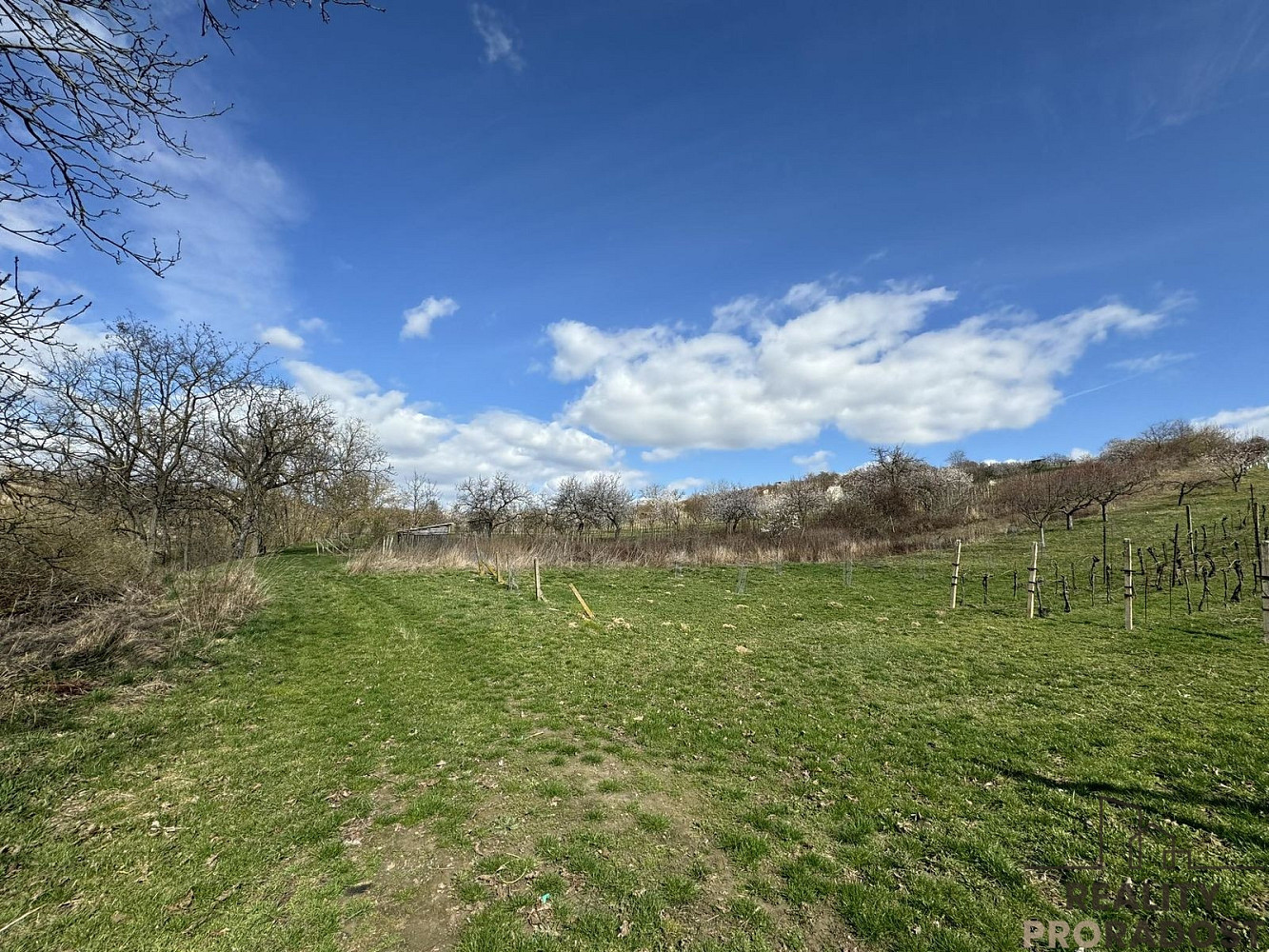 Prodej pozemku 1 540 m² – fotografie 2