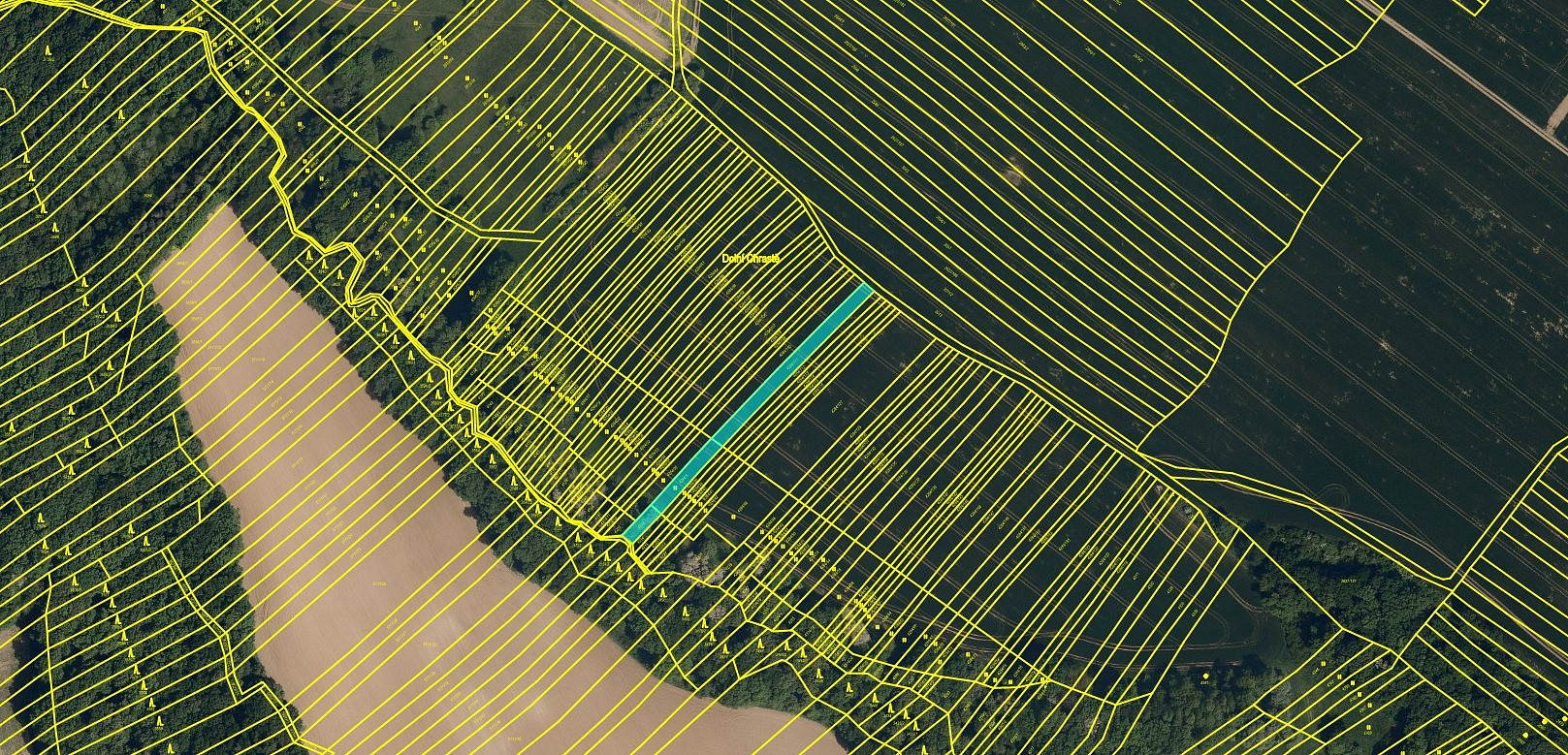 Fotka 3 z 3