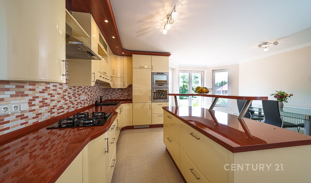 Prodej domu 545 m² s pozemkem 2 148 m², Chlumčany – náhled fotky 19