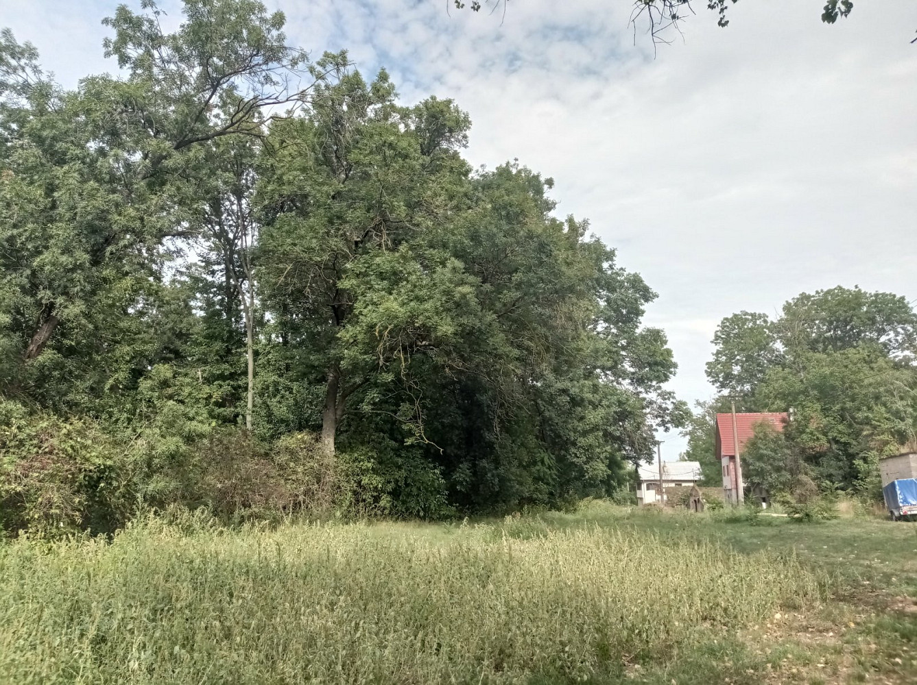 Prodej pozemku 6 724 m² – fotografie 4