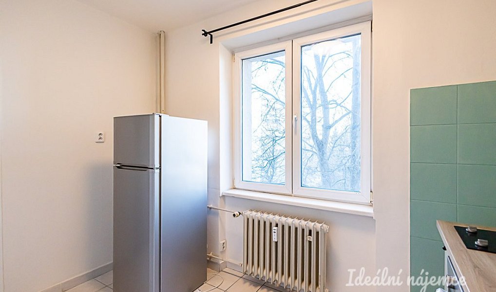 Pronájem bytu 2+1 53 m², Praha – náhled fotky 7