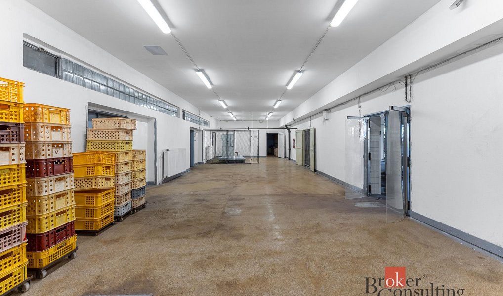 Pronájem skladovacích prostor 2 520 m², Jihlava – náhled fotky 9