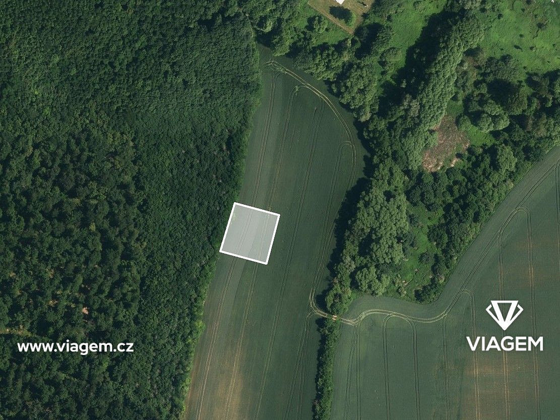 Prodej pole 1 596 m² – fotografie 2