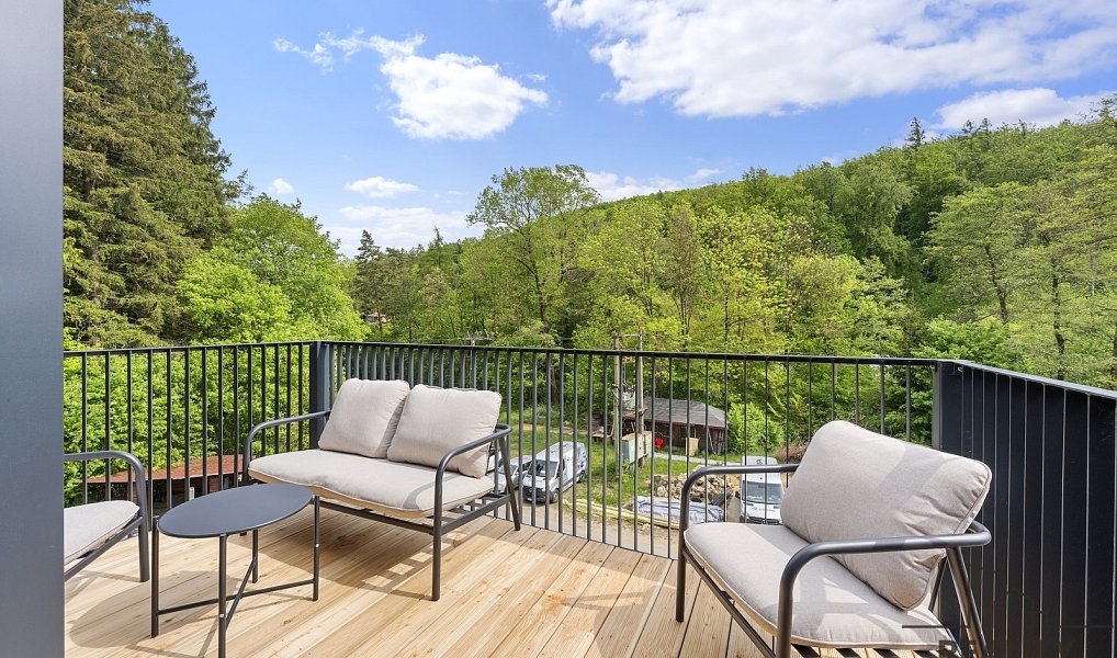 Prodej komerčního objektu (jiného typu) 43 m², Javorník – náhled fotky 7