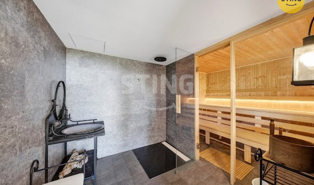 Prodej domu 2 989 m² s pozemkem 17 580 m², Hutisko-Solanec – náhled fotky 17