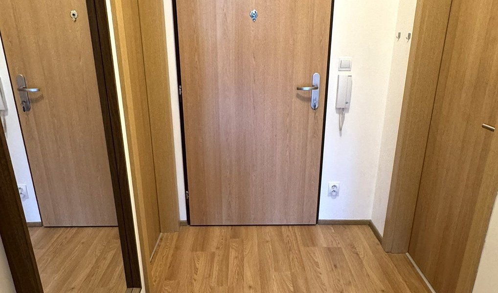 Pronájem bytu 1+kk 41 m², Praha – náhled fotky 4