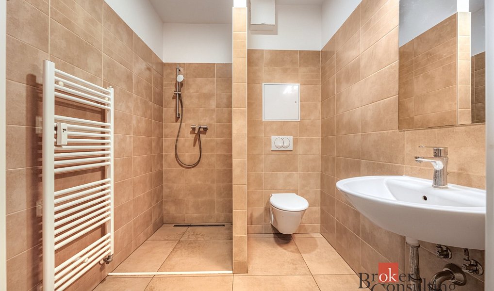 Pronájem bytu 2+1 48 m², Plzeň – náhled fotky 6