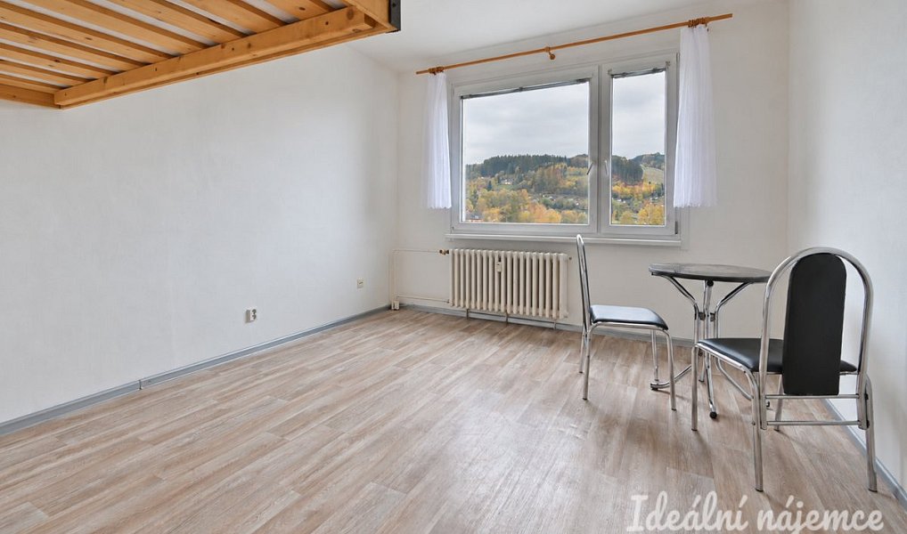 Pronájem bytu 1+1 35 m², Česká Třebová – náhled fotky 8