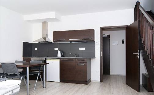 Pronájem bytu 2+kk 100 m², Bratislavská, Brno - Zábrdovice