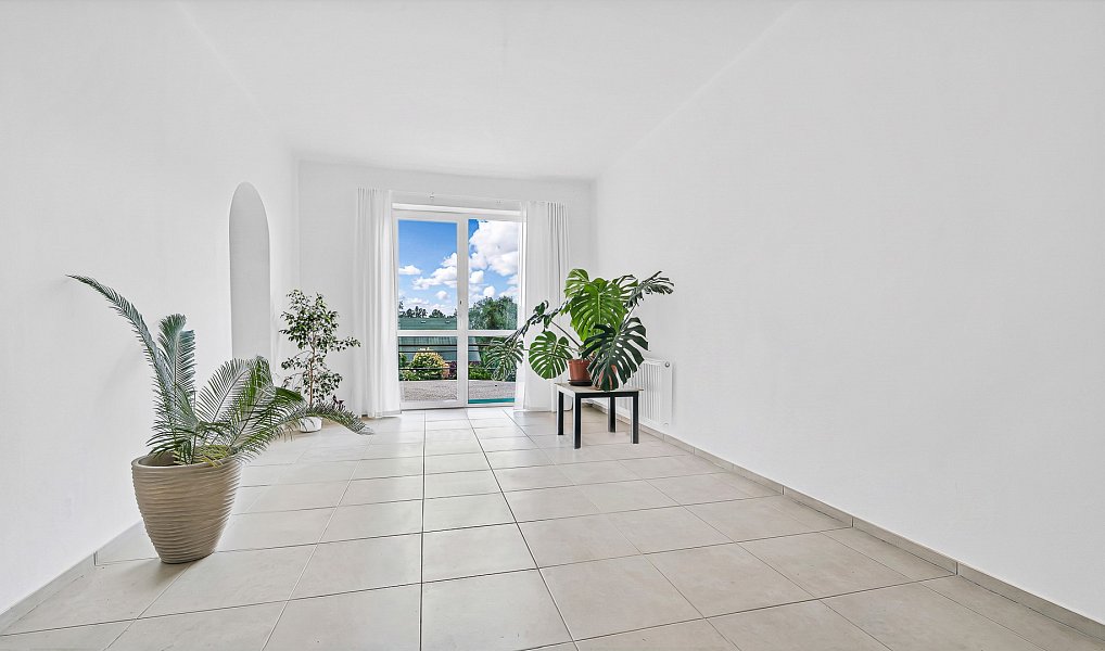 Prodej domu 850 m² s pozemkem 1 600 m², Nový Bor – náhled fotky 3