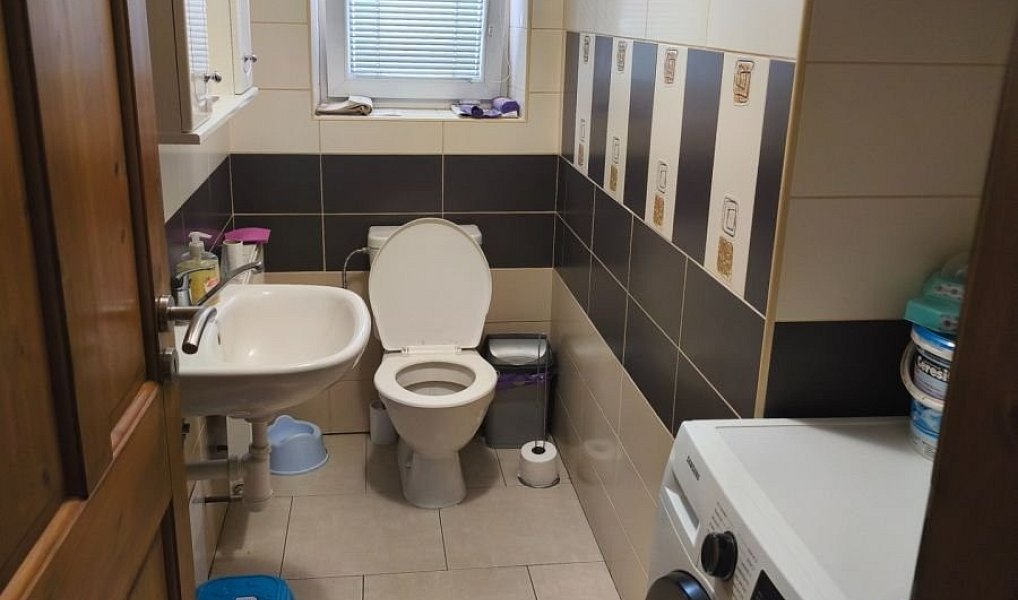Prodej domu 221 m² s pozemkem 779 m², Český Rudolec – náhled fotky 12