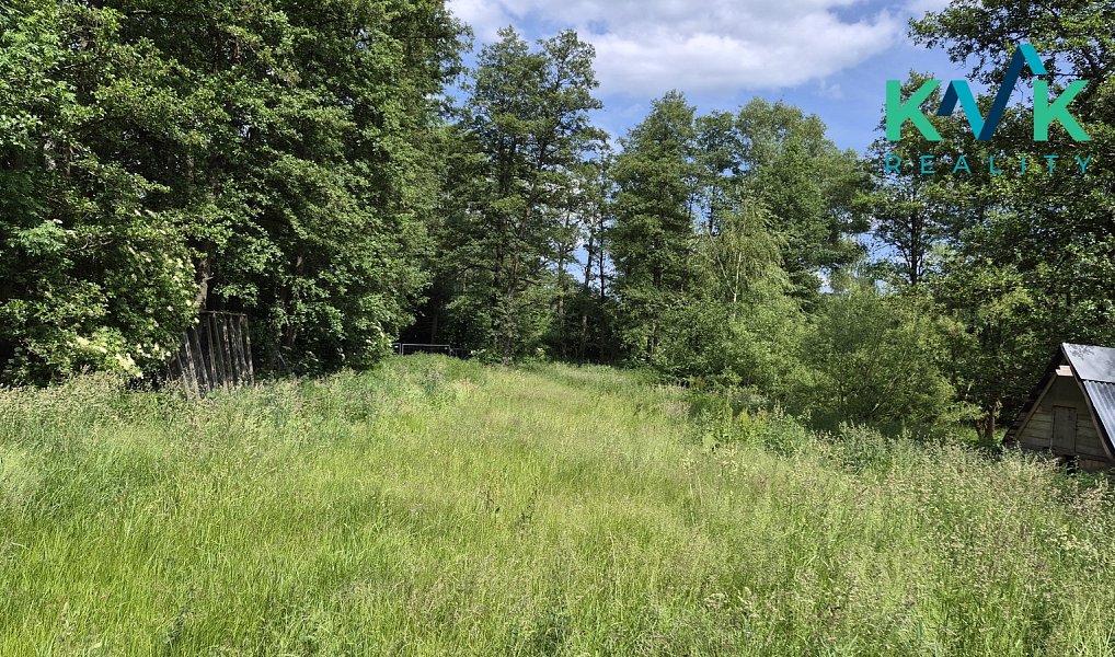 Pronájem zahrady 3 000 m², Sadov – náhled fotky 4