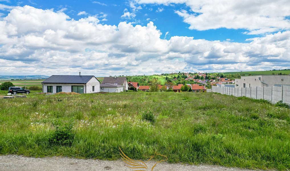 Prodej stavebního pozemku 3 347 m², Heršpice – náhled fotky 7