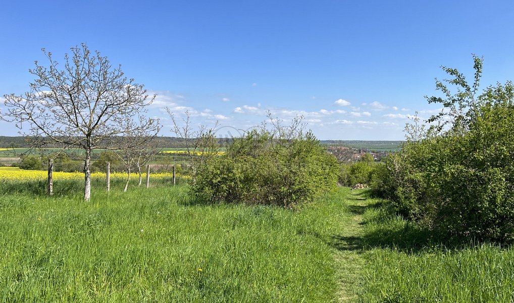 Prodej stavebního pozemku 3 311 m², Benátky nad Jizerou – náhled fotky 10