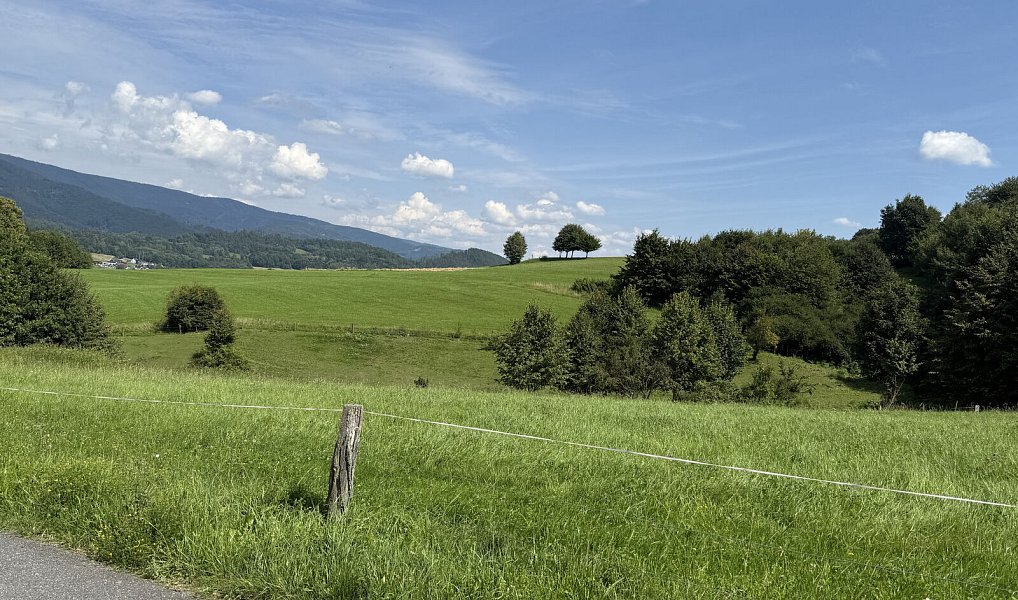Prodej zahrady 11 072 m², Rožnov pod Radhoštěm – náhled fotky 9
