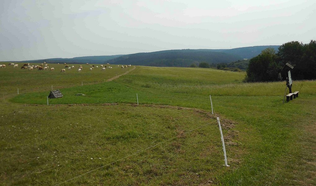 Prodej pole 12 004 m², Sloup – náhled fotky 5