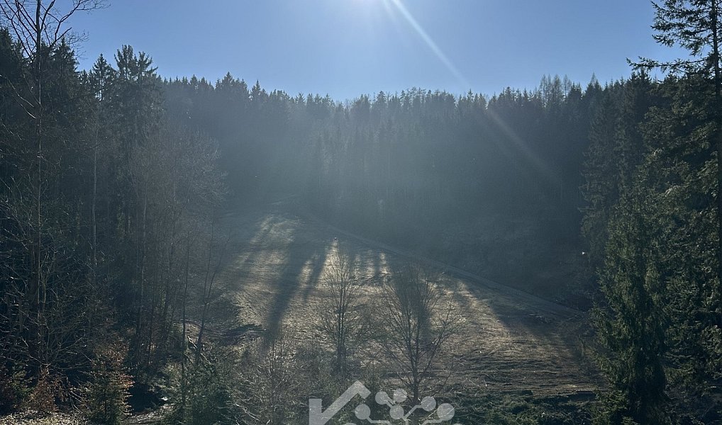 Prodej louky 15 029 m², Bozkov – náhled fotky 5