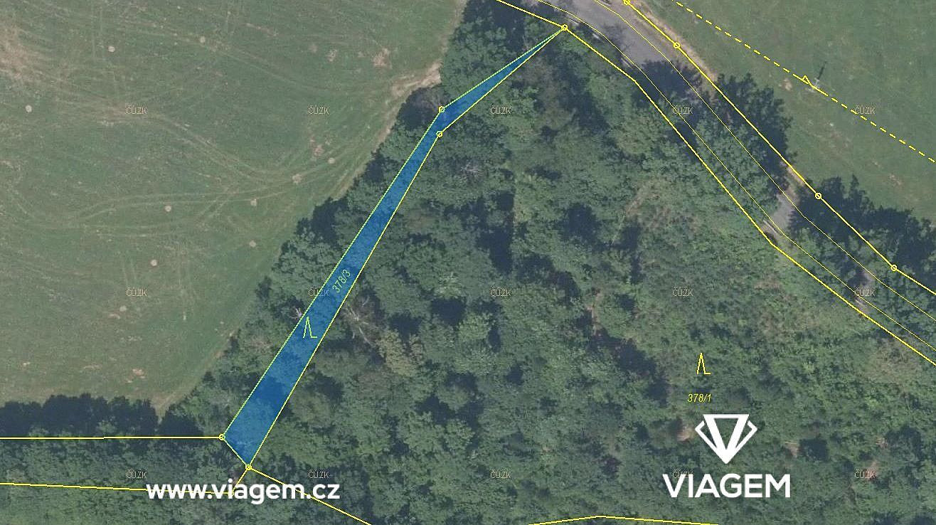 Prodej lesa 681 m²