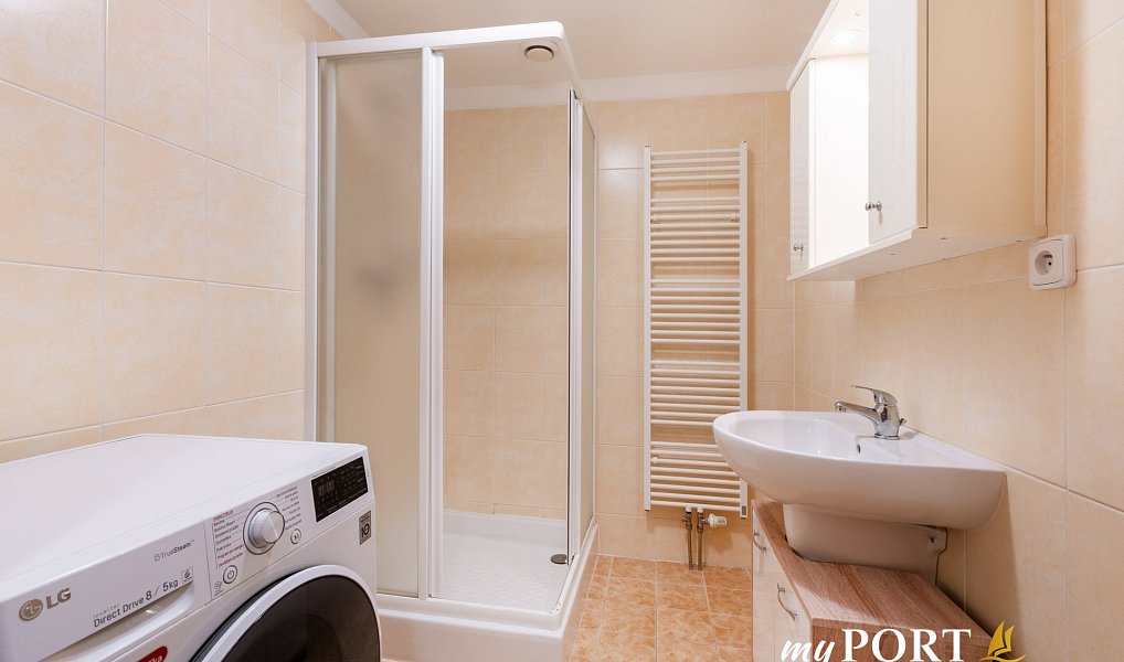 Pronájem bytu 1+kk 40 m², Plzeň – náhled fotky 7