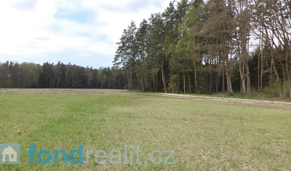 Prodej pozemku 6 528 m², Stráž nad Nežárkou – náhled fotky 4
