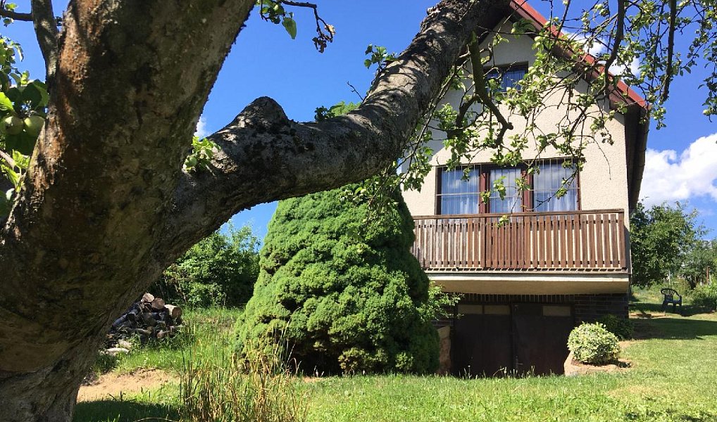 Prodej chaty/chalupy 38 m² s pozemkem 1 184 m², Staré Město – náhled fotky 8