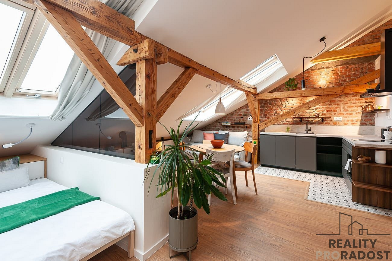 Pronájem bytu 1+kk 52 m²