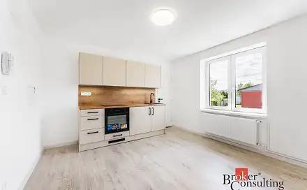 Prodej bytu 1+1 45 m²