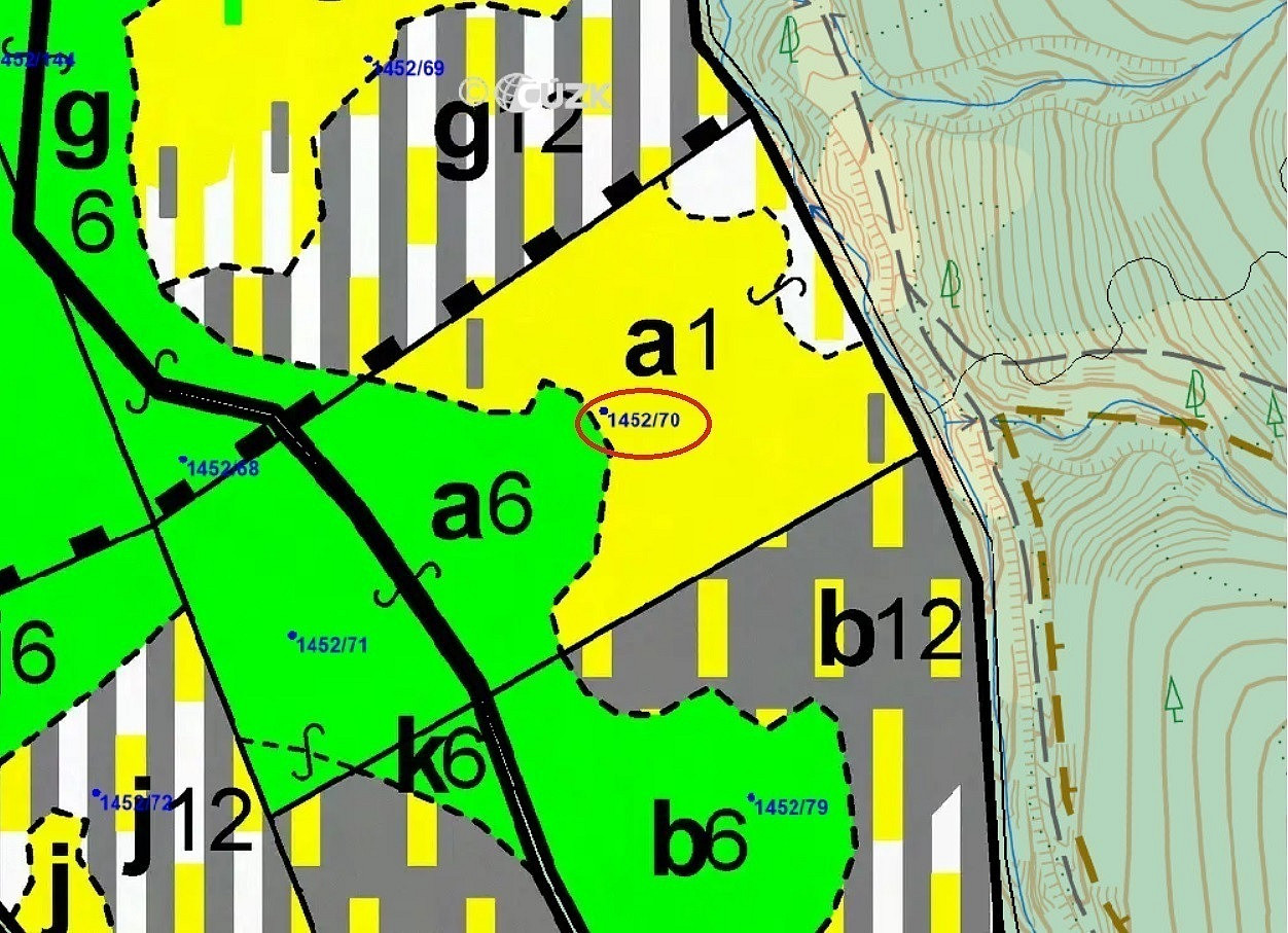 Dražba lesa 17 892 m² — photo 3