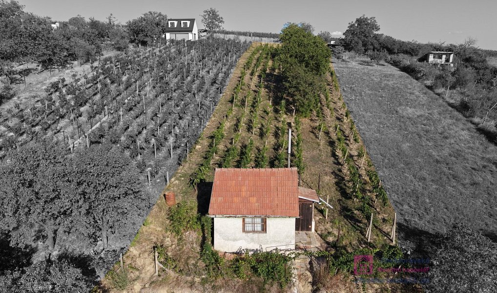 Prodej zahrady 1 256 m², Mikulov – náhled fotky 11