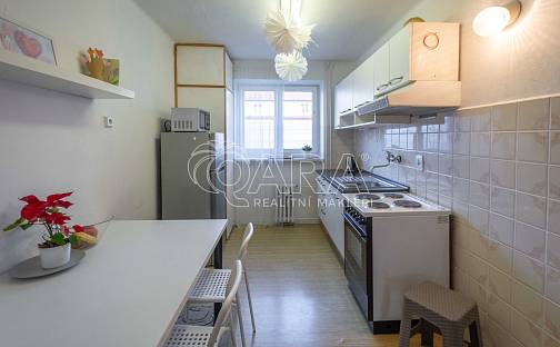 Pronájem bytu 2+1 50 m², Čechova, Mělník