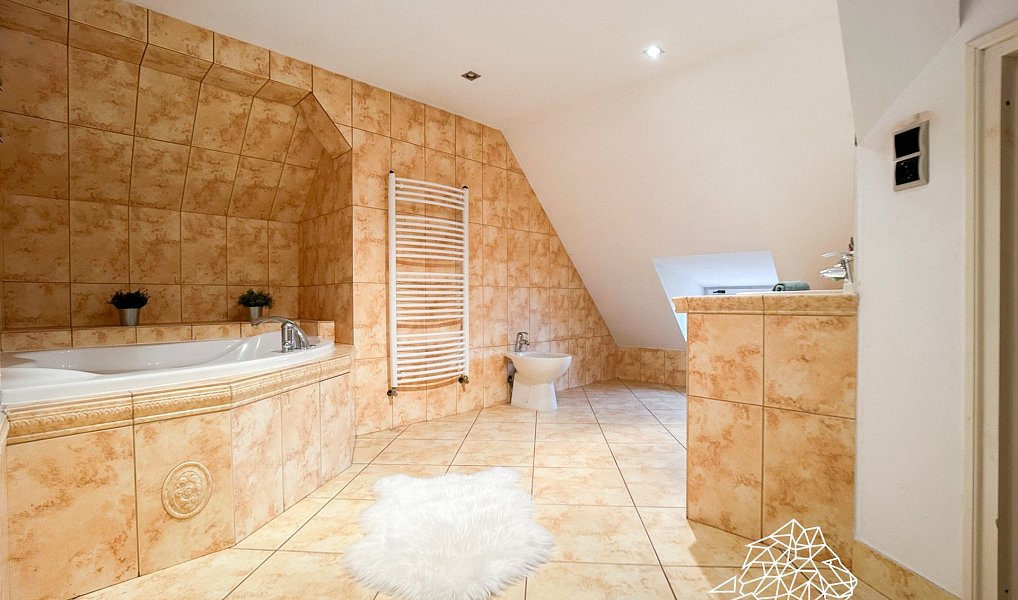 Prodej domu 900 m² s pozemkem 2 018 m², Krnov – náhled fotky 22