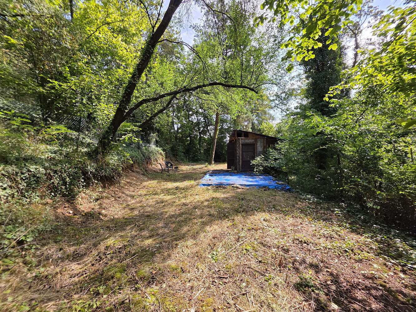 Prodej zahrady 983 m²